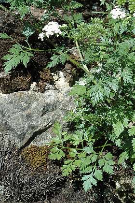 Montenois (Doubs), 5 août 2005