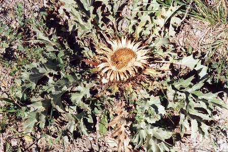 Villars-Colmars (Alpes-de-Haute-Provence), 27 aot 1991