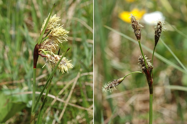 Lajoux (Jura), 28 mai 2010