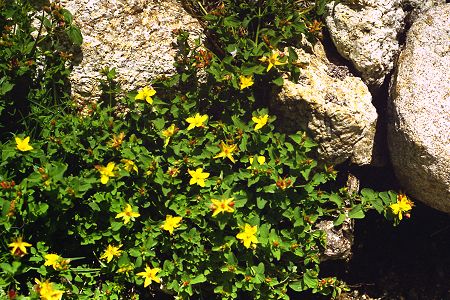 Renoso (Corse), 16 juillet 1997