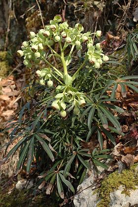 Vermondans (Doubs), 23 fvrier 2007