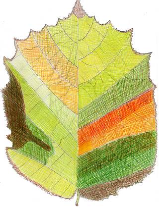 crayon de couleur